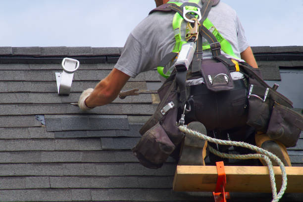 Best Roof Gutter Cleaning  in Summerset, SD